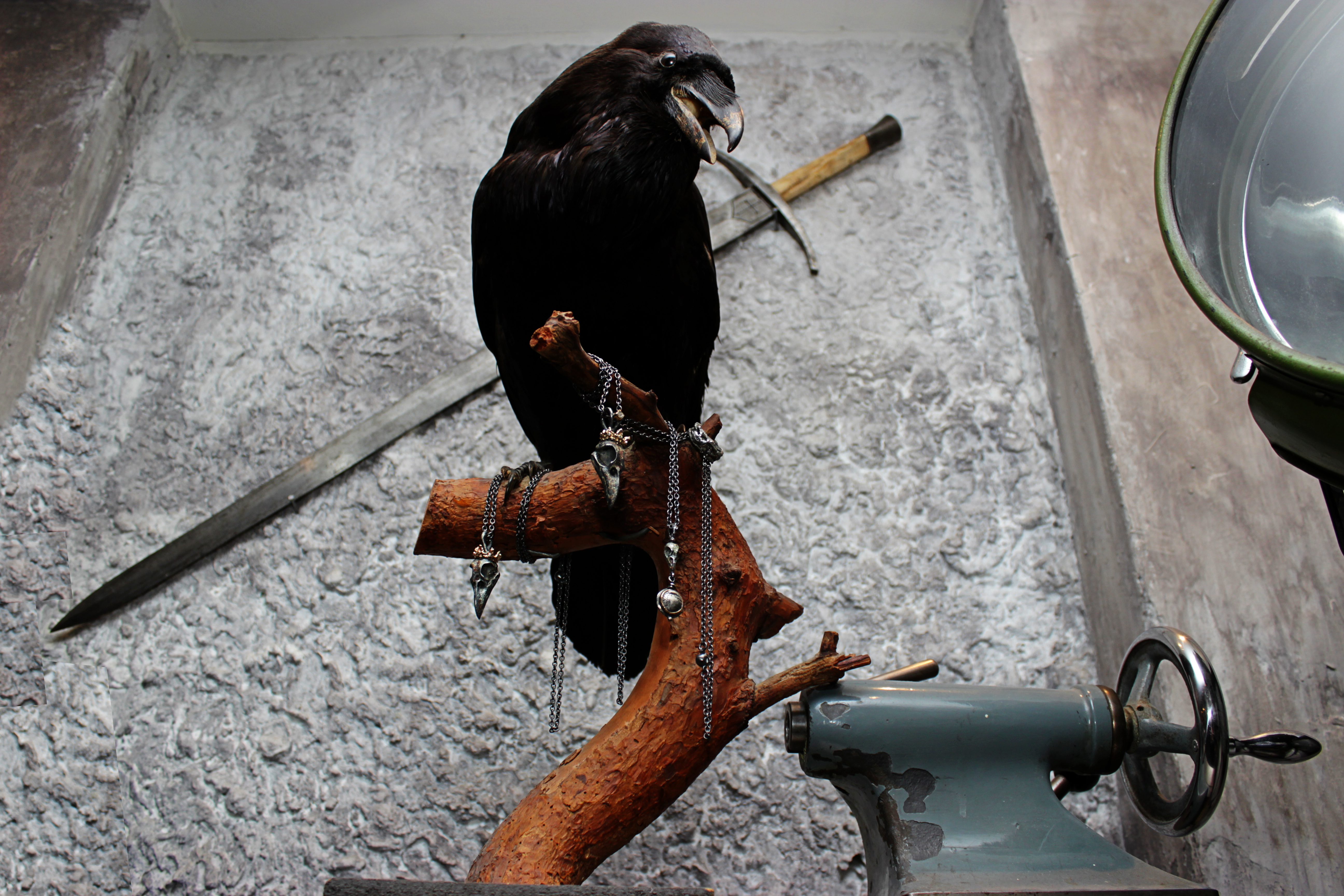 ravn1