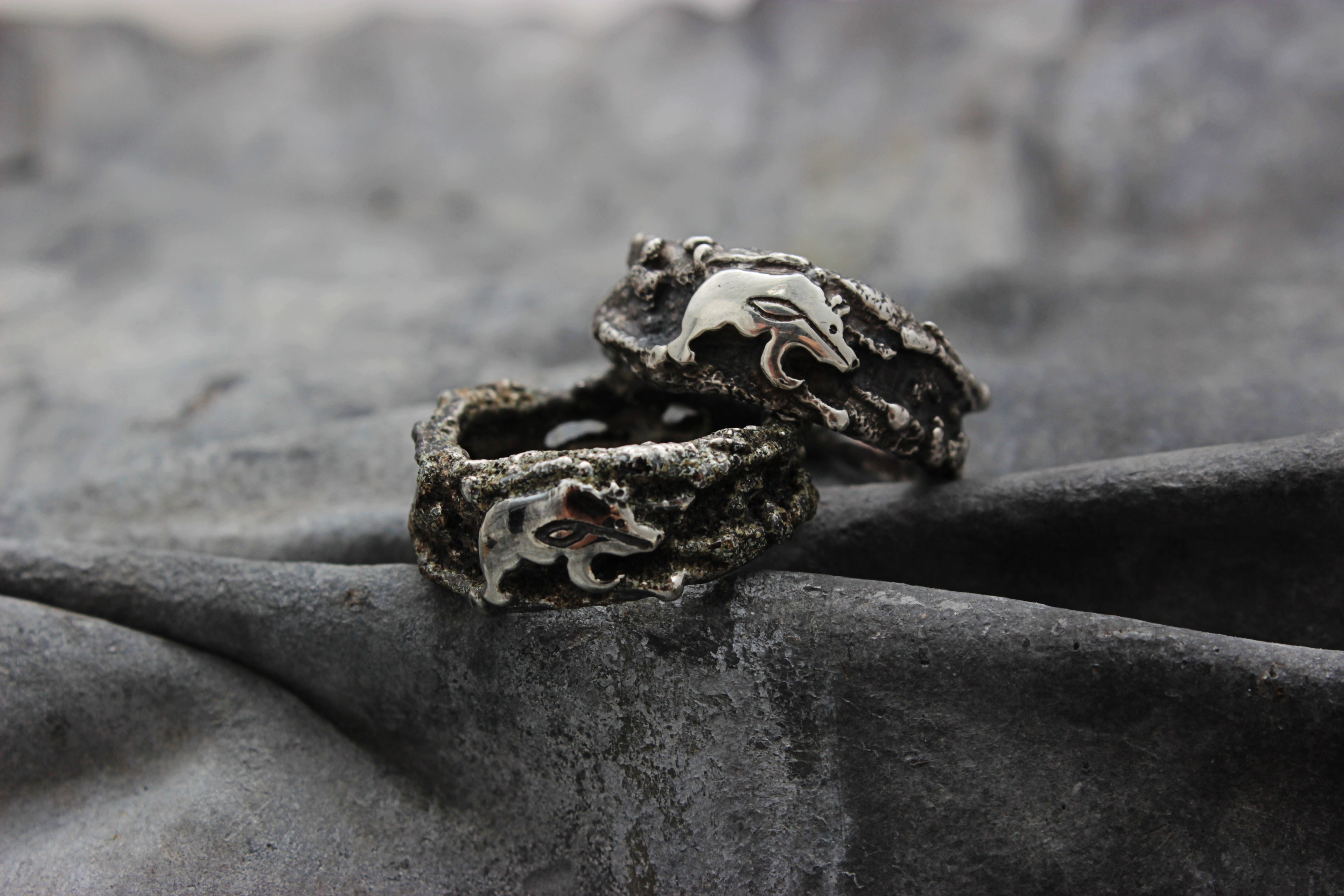 ring1