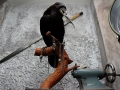 ravn1