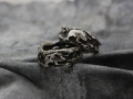 ring1